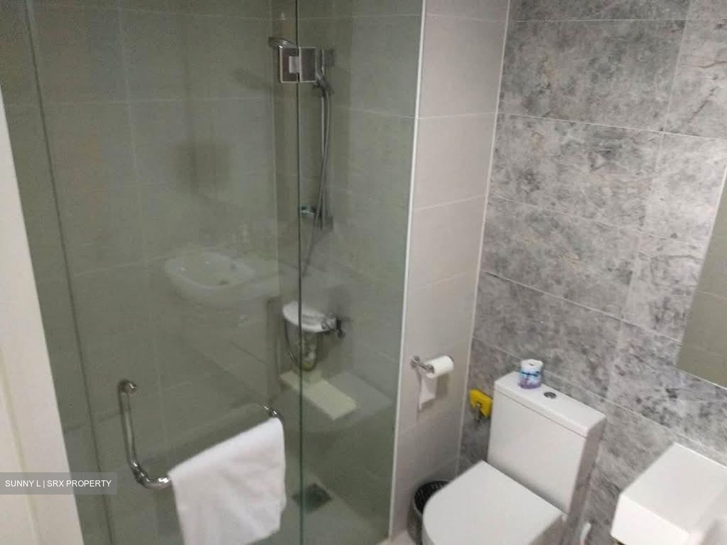 The Lakefront Residences (D22), Condominium #574574071